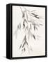 Bamboo Leaves IV-Danhui Nai-Framed Stretched Canvas