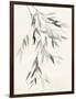 Bamboo Leaves IV-Danhui Nai-Framed Art Print