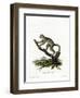 Bamboo Lemur-null-Framed Giclee Print