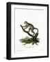 Bamboo Lemur-null-Framed Giclee Print