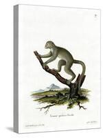 Bamboo Lemur-null-Stretched Canvas