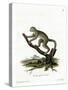 Bamboo Lemur-null-Stretched Canvas