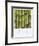 Bamboo Lengths-Boyce Watt-Framed Art Print