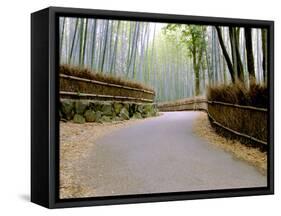 Bamboo Line, Kyoto, Japan-Shin Terada-Framed Stretched Canvas