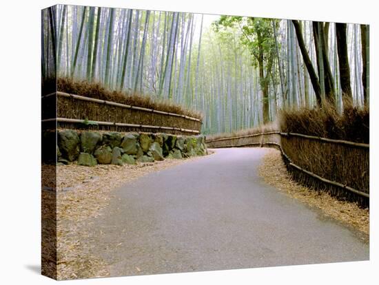 Bamboo Line, Kyoto, Japan-Shin Terada-Stretched Canvas