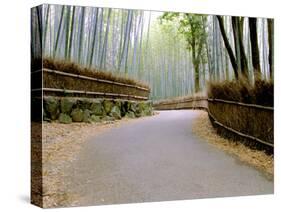 Bamboo Line, Kyoto, Japan-Shin Terada-Stretched Canvas