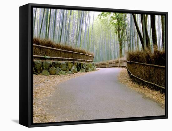 Bamboo Line, Kyoto, Japan-Shin Terada-Framed Stretched Canvas