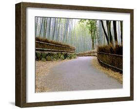 Bamboo Line, Kyoto, Japan-Shin Terada-Framed Premium Photographic Print