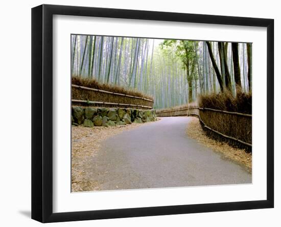 Bamboo Line, Kyoto, Japan-Shin Terada-Framed Premium Photographic Print