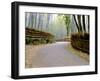 Bamboo Line, Kyoto, Japan-Shin Terada-Framed Premium Photographic Print