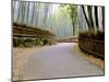 Bamboo Line, Kyoto, Japan-Shin Terada-Mounted Premium Photographic Print