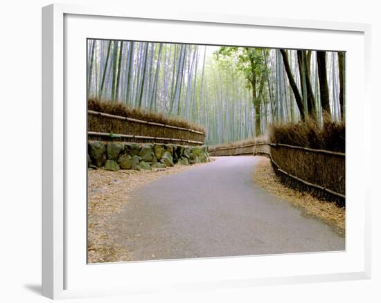 Bamboo Line, Kyoto, Japan-Shin Terada-Framed Photographic Print