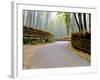 Bamboo Line, Kyoto, Japan-Shin Terada-Framed Photographic Print