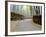 Bamboo Line, Kyoto, Japan-Shin Terada-Framed Photographic Print