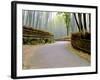 Bamboo Line, Kyoto, Japan-Shin Terada-Framed Photographic Print