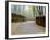 Bamboo Line, Kyoto, Japan-Shin Terada-Framed Photographic Print