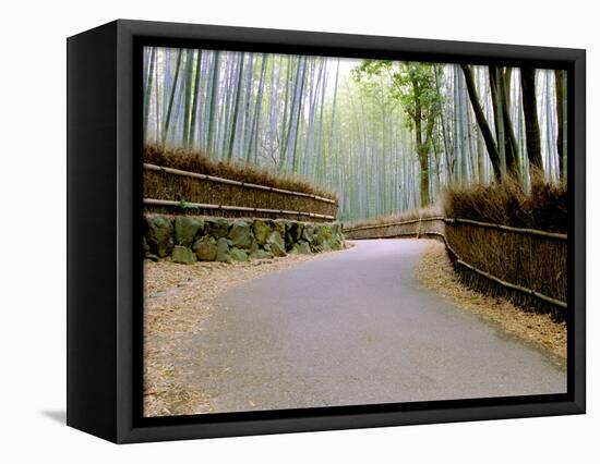 Bamboo Line, Kyoto, Japan-Shin Terada-Framed Stretched Canvas