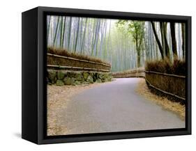 Bamboo Line, Kyoto, Japan-Shin Terada-Framed Stretched Canvas