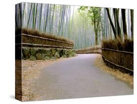 Bamboo Line, Kyoto, Japan-Shin Terada-Stretched Canvas