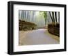 Bamboo Line, Kyoto, Japan-Shin Terada-Framed Photographic Print