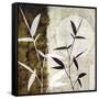 Bamboo Moon I-Christine Zalewski-Framed Stretched Canvas