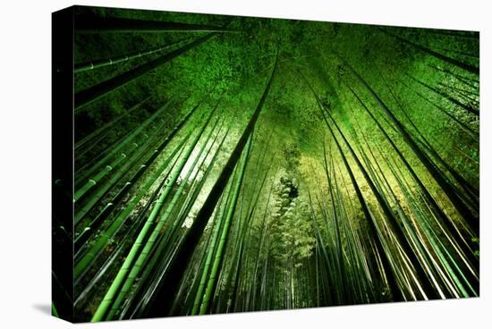 'Bamboo Night' Stretched Canvas Print | AllPosters.com