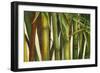 Bamboo on Beige I-Patricia Pinto-Framed Premium Giclee Print