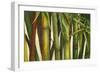 Bamboo on Beige I-Patricia Pinto-Framed Premium Giclee Print