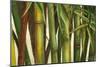 Bamboo on Beige I-Patricia Pinto-Mounted Premium Giclee Print