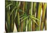 Bamboo on Beige II-Patricia Pinto-Mounted Art Print