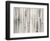 Bamboo Pattern-Danhui Nai-Framed Art Print