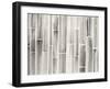 Bamboo Pattern-Danhui Nai-Framed Art Print