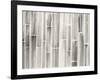 Bamboo Pattern-Danhui Nai-Framed Art Print