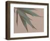 Bamboo Pink IV-Renée Stramel-Framed Photographic Print