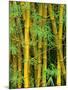 Bamboo Plants-Merrill Images-Mounted Photographic Print