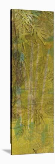 Bamboo Press I-Jennifer Goldberger-Stretched Canvas