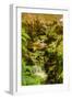 Bamboo Ravine, Maui-Vincent James-Framed Photographic Print