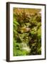 Bamboo Ravine, Maui-Vincent James-Framed Photographic Print