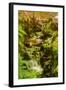 Bamboo Ravine, Maui-Vincent James-Framed Photographic Print