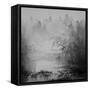 Bamboo River II-null-Framed Stretched Canvas