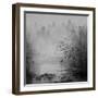 Bamboo River II-null-Framed Art Print