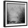 Bamboo River II-null-Framed Art Print