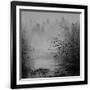 Gramercy Black