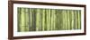 Bamboo Scape-Cora Niele-Framed Photographic Print