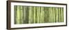 Bamboo Scape-Cora Niele-Framed Premium Photographic Print