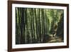 Bamboo Sea-Basil Pao-Framed Giclee Print