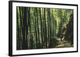 Bamboo Sea-Basil Pao-Framed Giclee Print