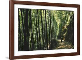 Bamboo Sea-Basil Pao-Framed Giclee Print