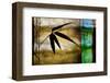 Bamboo Shade II-Christine Zalewski-Framed Art Print