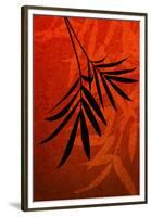 Bamboo Shade on Red I-Christine Zalewski-Framed Premium Giclee Print
